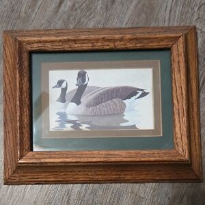 Framed Goose Art Print